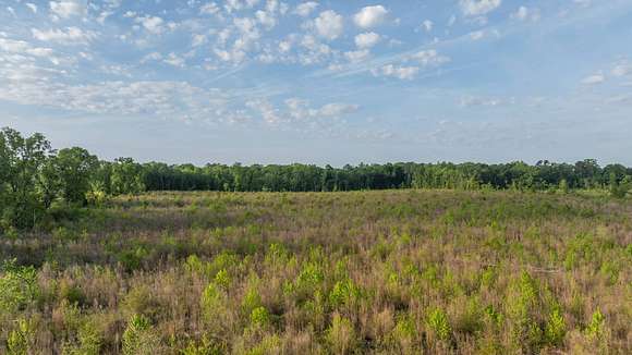 50 Acres of Recreational Land for Auction in Pineview, Georgia