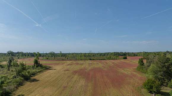 118 Acres of Recreational Land & Farm for Auction in Abbeville, Georgia