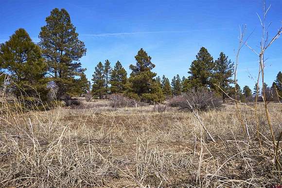 0.29 Acres of Residential Land for Sale in Pagosa Springs, Colorado