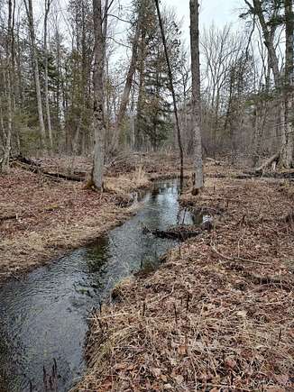 40 Acres of Recreational Land & Farm for Sale in L'Anse Township, Michigan