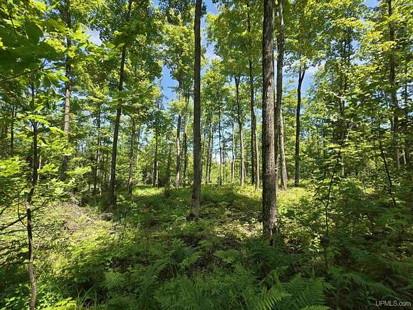 40 Acres of Recreational Land & Farm for Sale in L'Anse Township, Michigan