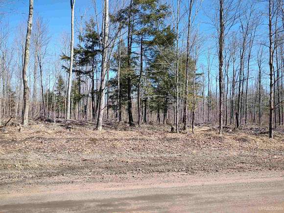 40 Acres of Land for Sale in L'Anse Township, Michigan