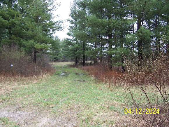 5 Acres of Residential Land for Sale in Greenwood Township, Michigan