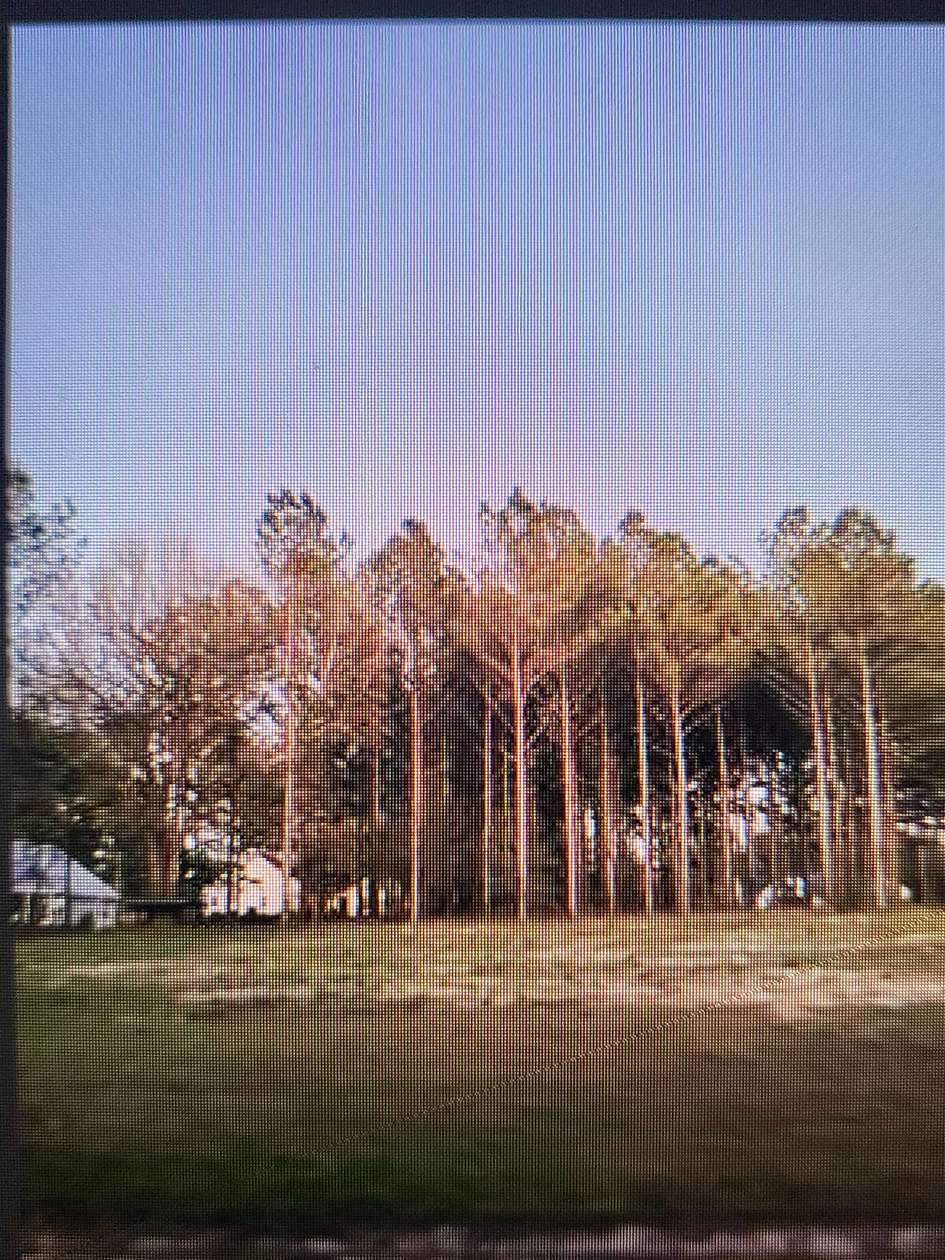 0.55 Acres of Land for Sale in Monticello, Florida
