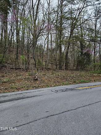 0.74 Acres of Residential Land for Sale in Kingsport, Tennessee