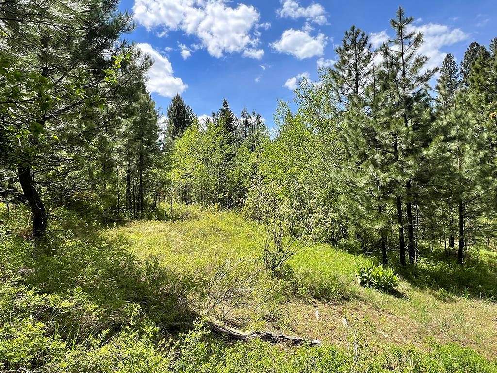 0.51 Acres of Land for Sale in Cascade, Idaho
