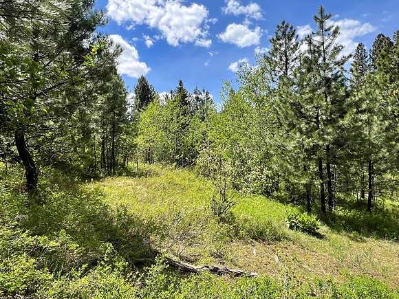 0.51 Acres of Residential Land for Sale in Cascade, Idaho