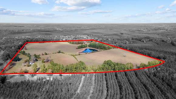 75 Acres of Agricultural Land for Sale in Woodville, Texas