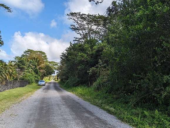 1 Acre of Residential Land for Sale in Keaau, Hawaii