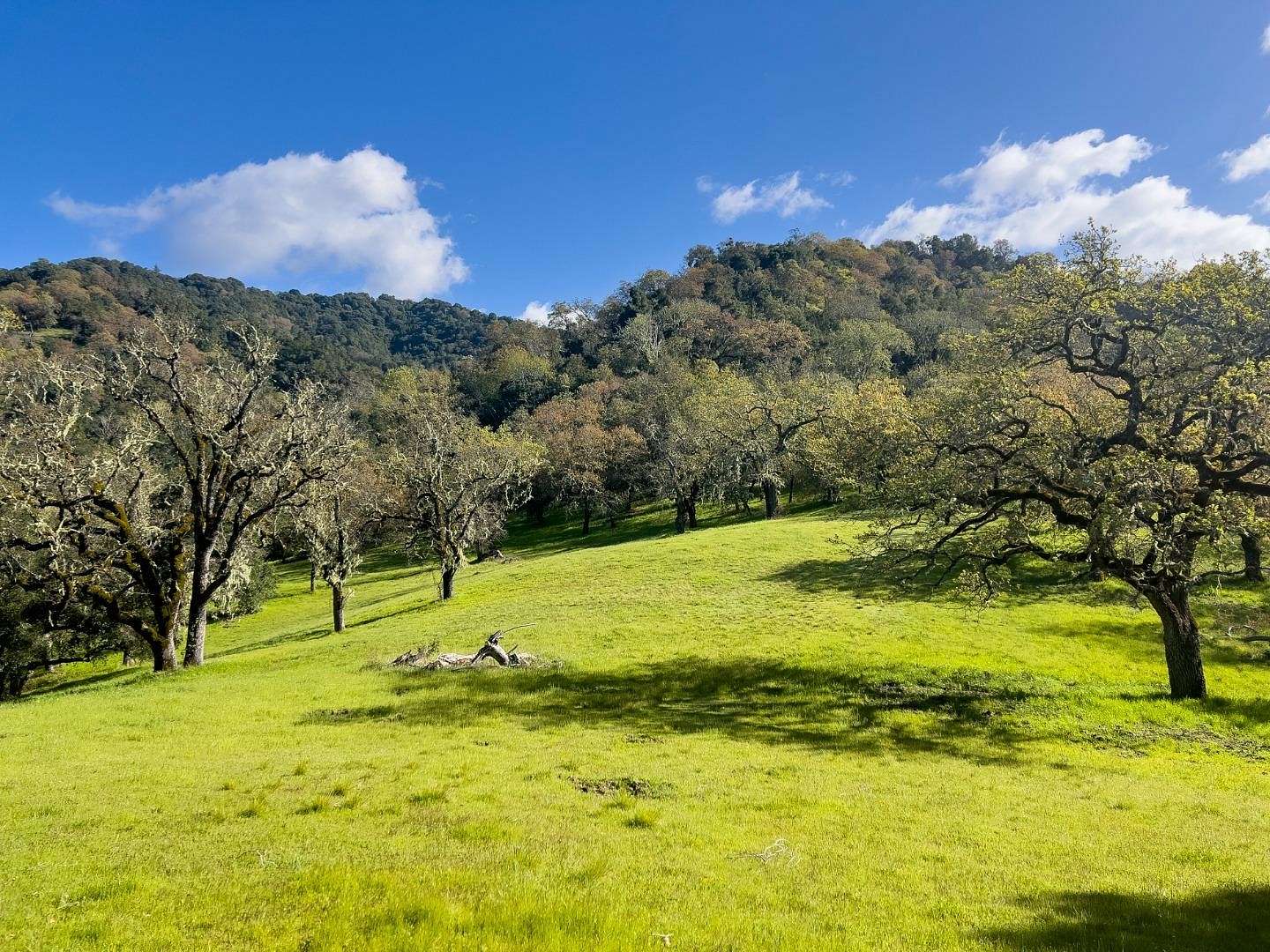 19.2 Acres of Land for Sale in Carmel-by-the-Sea, California