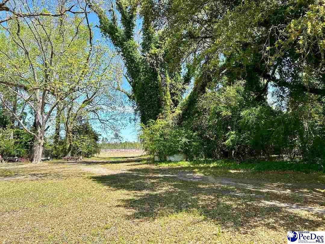 22.3 Acres of Land for Sale in Loris, South Carolina