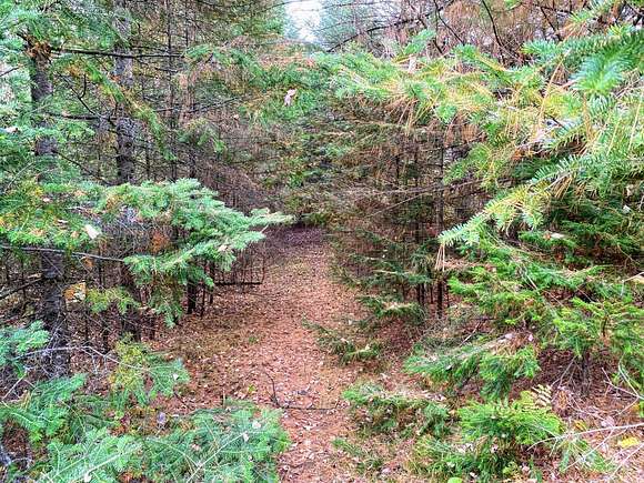 6.8 Acres of Residential Land for Sale in Park Falls, Wisconsin