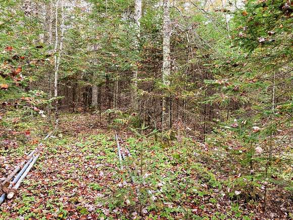 6.8 Acres Of Land For Sale In Park Falls, Wisconsin - Landsearch