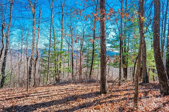 26 Acres of Agricultural Land for Sale in Zirconia, North Carolina