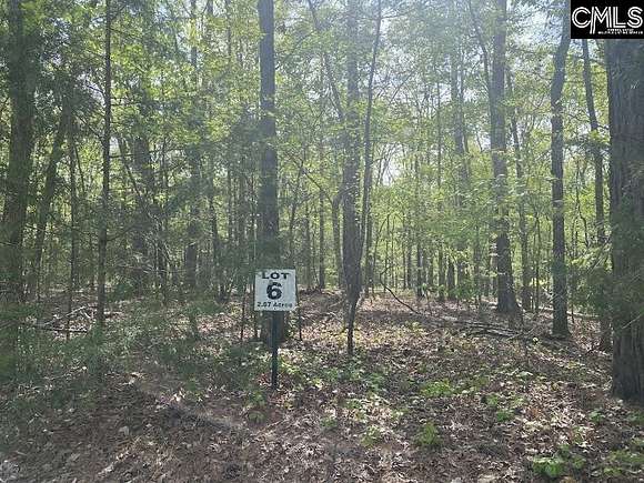2.9 Acres of Residential Land for Sale in Blythewood, South Carolina