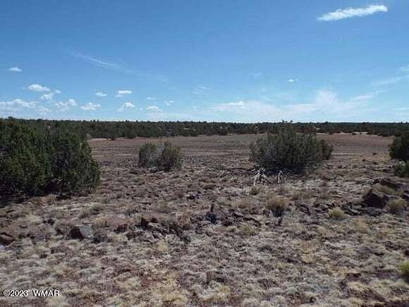 1 Acre of Residential Land for Sale in Concho, Arizona