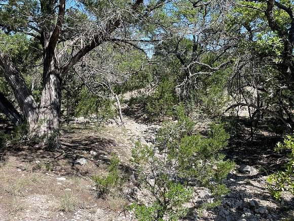 40 Acres of Land for Sale in Rocksprings, Texas