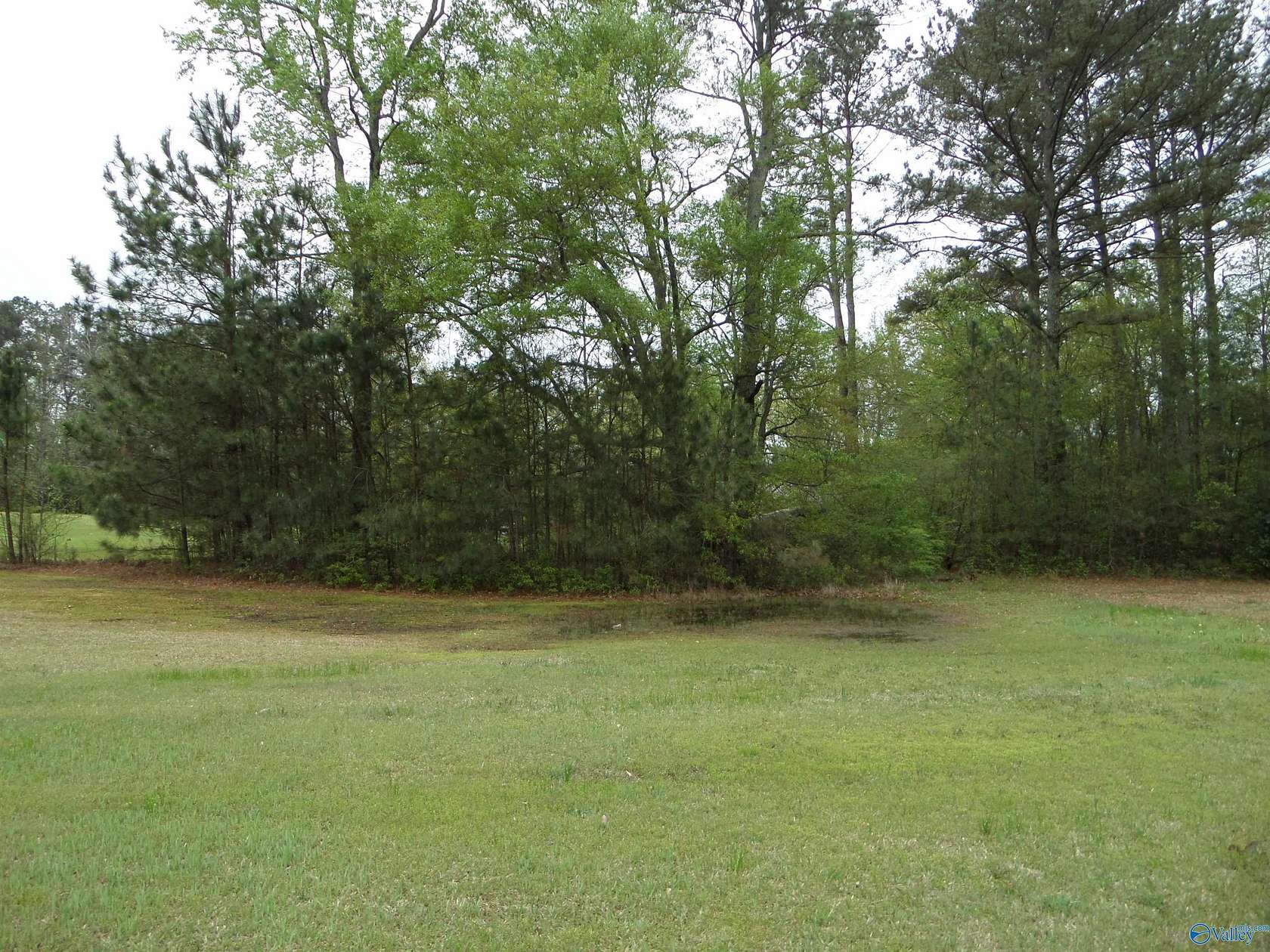 0.16 Acres of Residential Land for Sale in Gadsden, Alabama