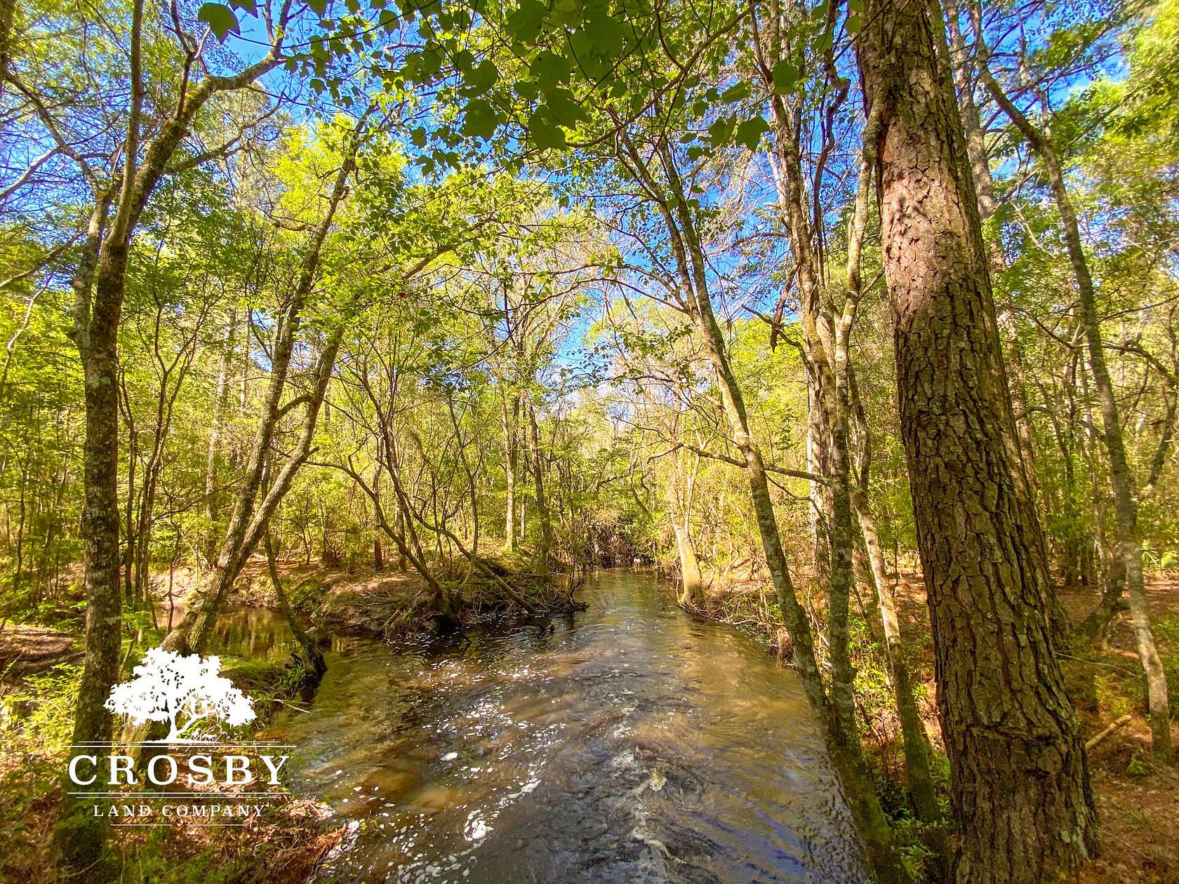 849 Acres of Recreational Land for Sale in Glennville, Georgia