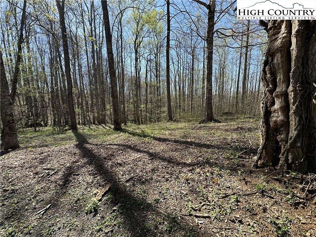 1 Acre of Residential Land for Sale in Bakersville, North Carolina