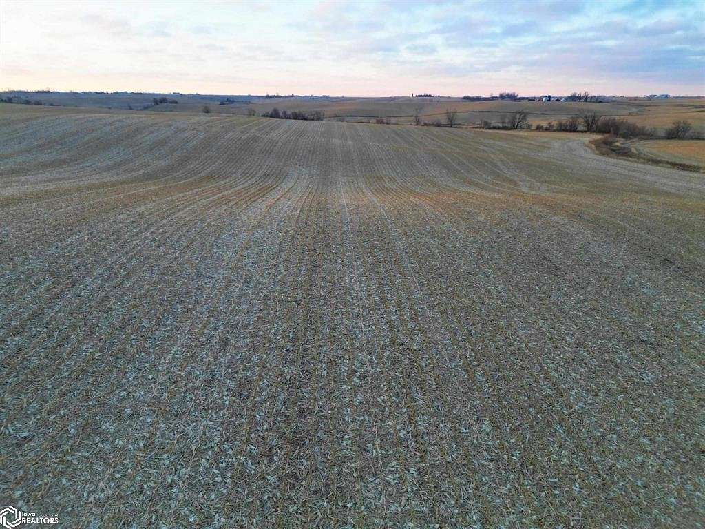 147 Acres of Agricultural Land for Auction in Baxter, Iowa