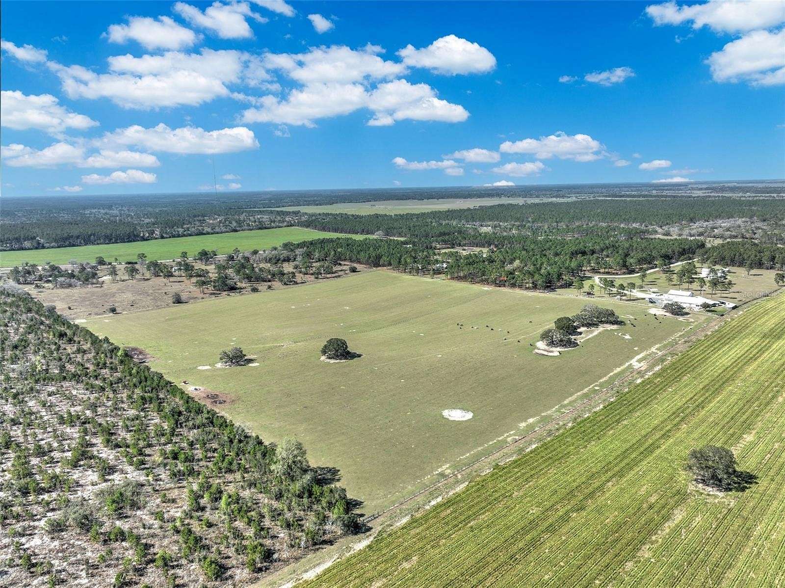 44.7 Acres of Agricultural Land for Sale in Morriston, Florida