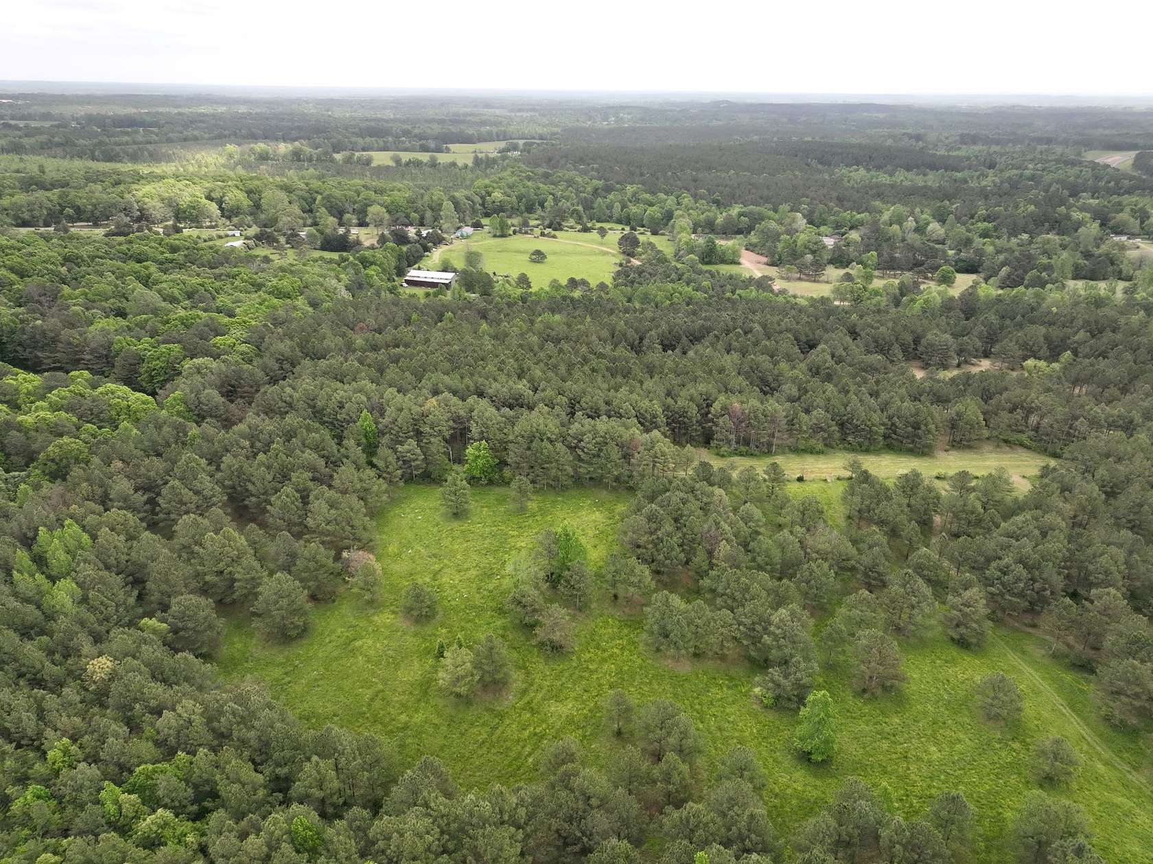 16 Acres of Recreational Land for Sale in Carbon Hill, Alabama