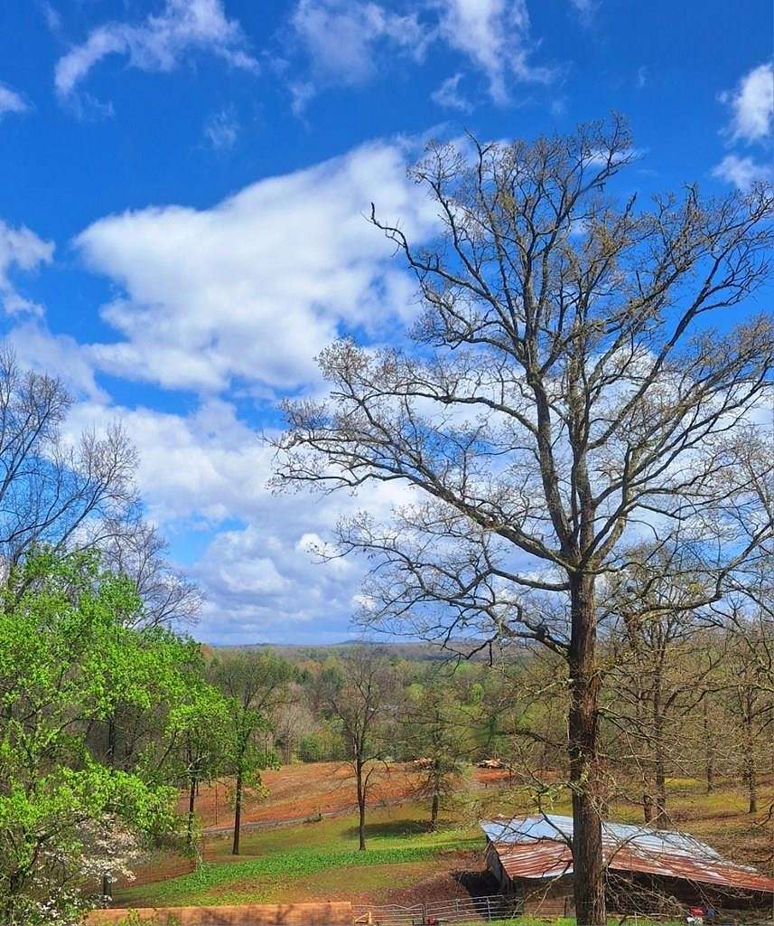 14 Acres of Land with Home for Sale in Blue Ridge, Georgia