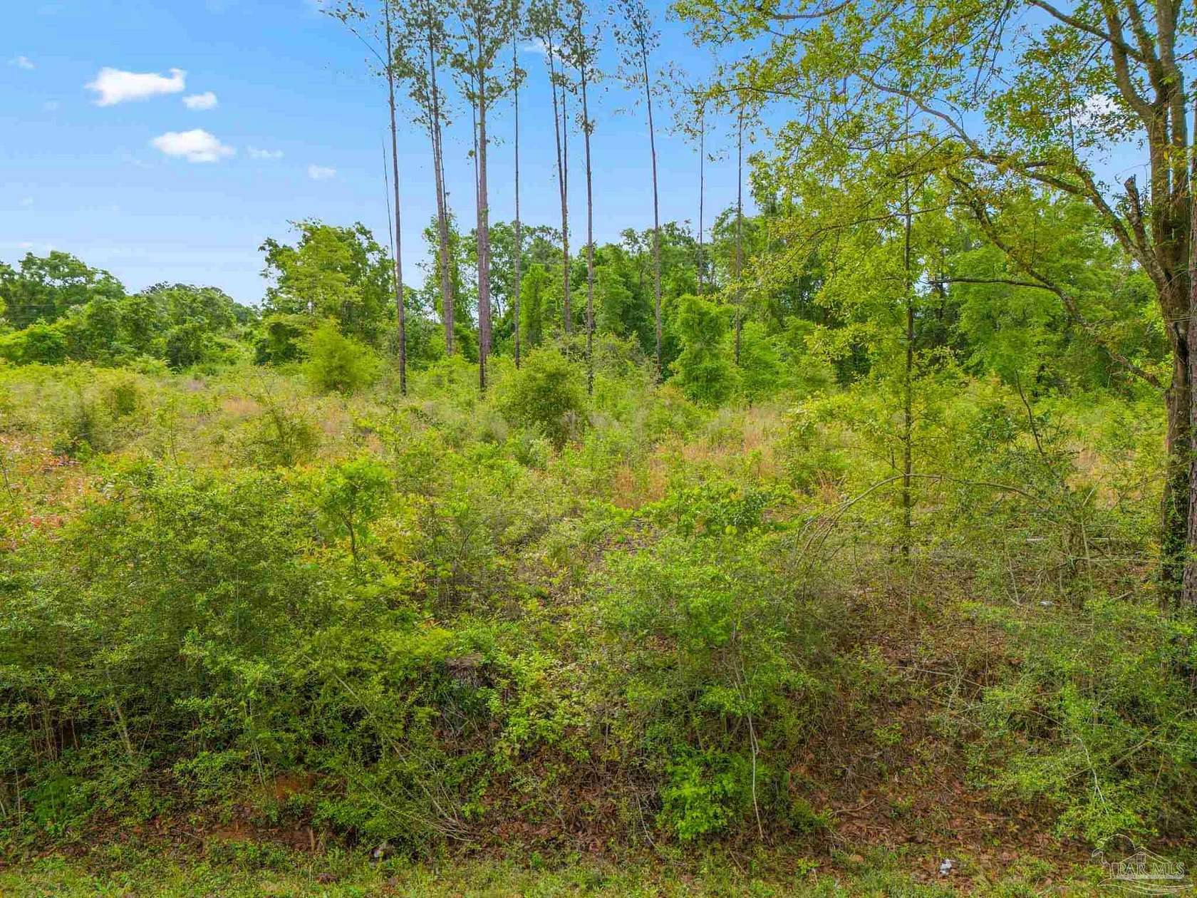 5.4 Acres of Residential Land for Sale in Jay, Florida