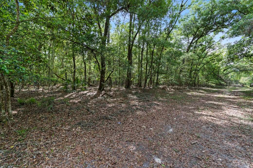 0.45 Acres of Residential Land for Sale in Bell, Florida