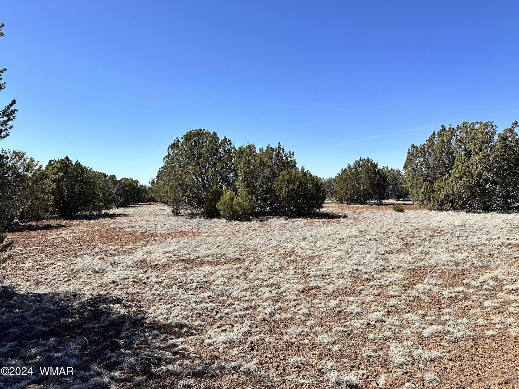 5 Acres of Residential Land for Sale in Concho, Arizona