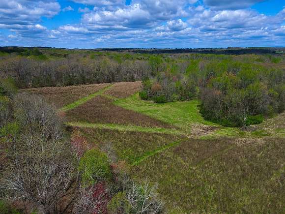 40 Acres of Land for Sale in Bryant, Alabama