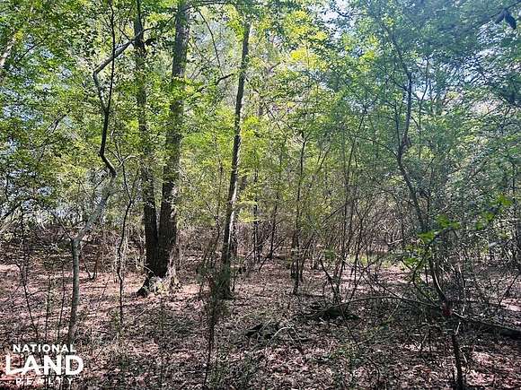 3 Acres of Land for Sale in Richland, Georgia
