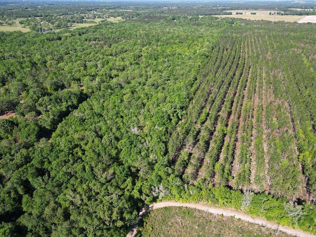 24.2 Acres of Recreational Land for Sale in Bainbridge, Georgia