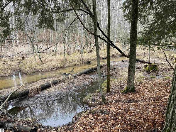 150 Acres of Recreational & Residential Land for Sale in Wellston, Michigan