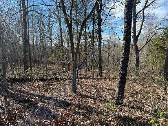 25 Acres of Recreational Land for Sale in Elk Creek, Missouri