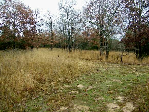 35 Acres of Recreational Land for Sale in Atoka, Oklahoma