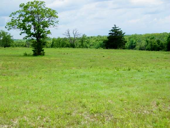 52.9 Acres of Land for Sale in Newalla, Oklahoma