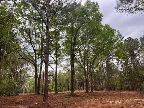 10 Acres of Land for Sale in Greensboro, Alabama