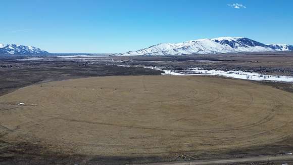 195 Acres of Land for Sale in Mackay, Idaho
