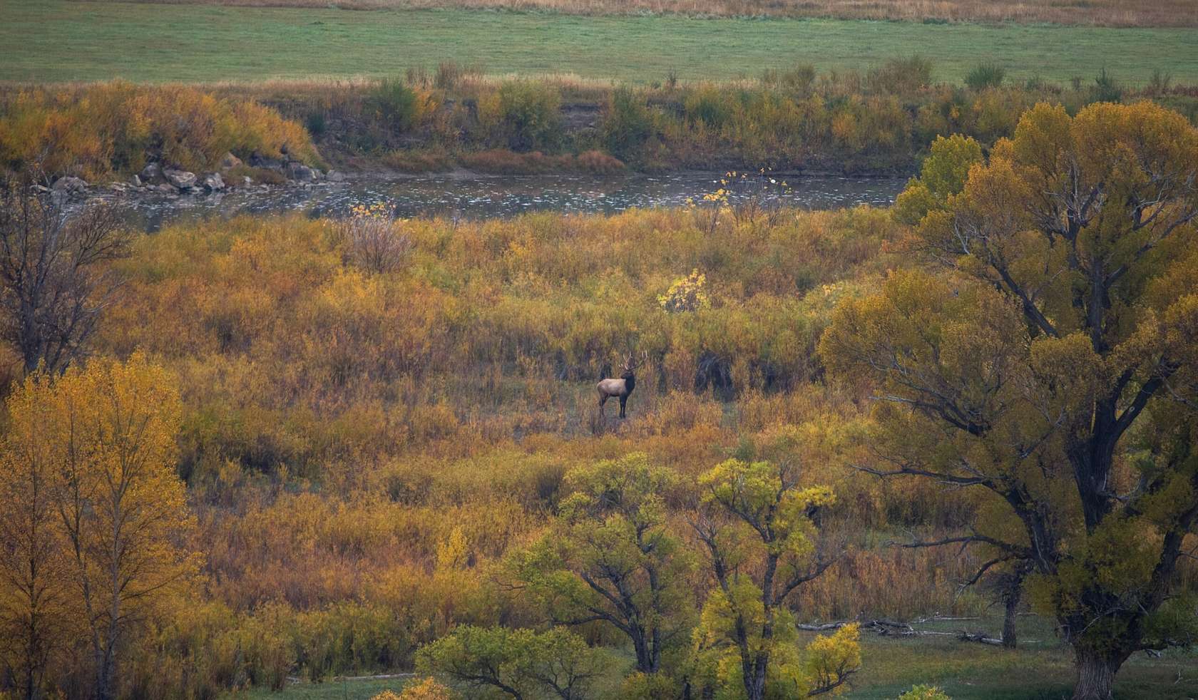 1,042 Acres of Recreational Land & Farm for Sale in Craig, Colorado