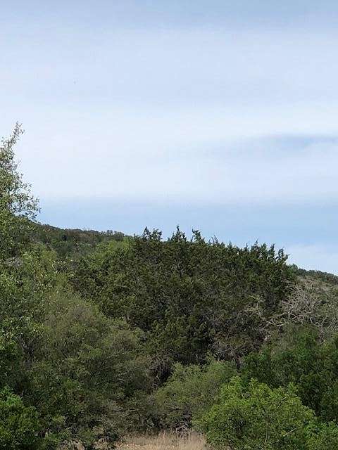 1 Acre of Residential Land for Sale in Uvalde, Texas