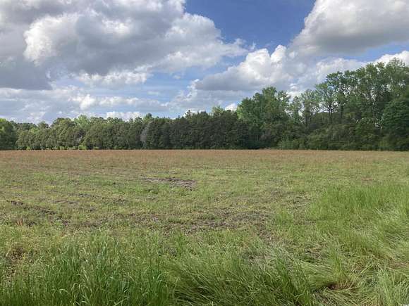 11.7 Acres of Land for Sale in Pamplico, South Carolina