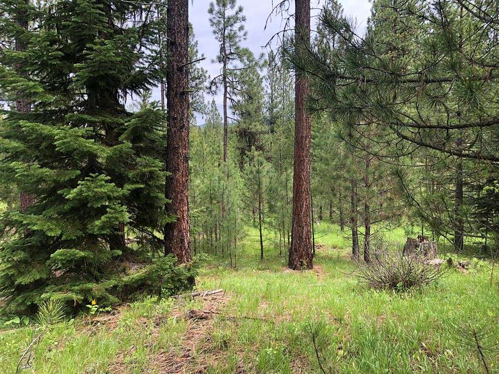 4.9 Acres of Land for Sale in Cascade, Idaho
