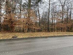 0.55 Acres of Residential Land for Sale in Church Hill, Tennessee