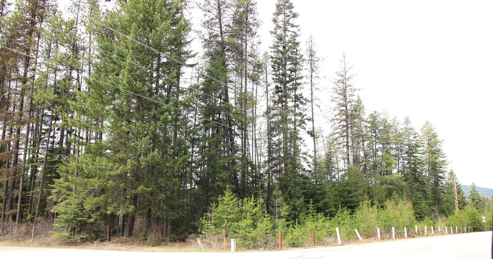1 Acre of Land for Sale in Cusick, Washington