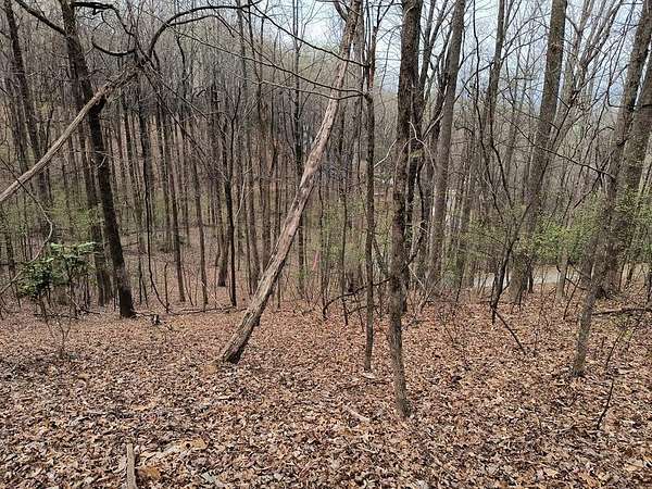 0.51 Acres of Residential Land for Sale in Ellijay, Georgia