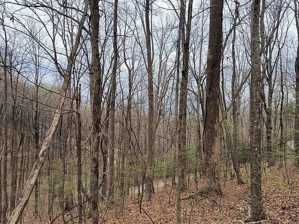 0.51 Acres of Residential Land for Sale in Ellijay, Georgia