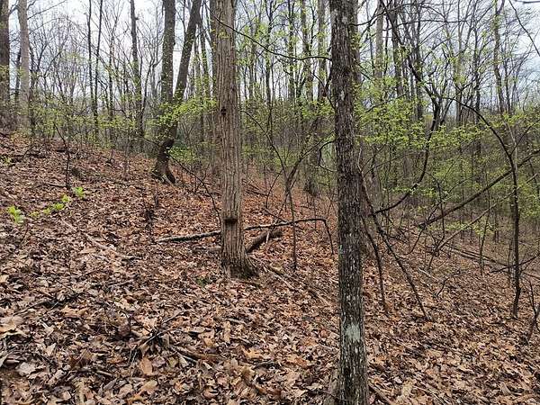 0.51 Acres of Residential Land for Sale in Ellijay, Georgia