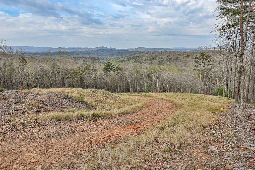34.35 Acres of Land for Sale in Ellijay, Georgia